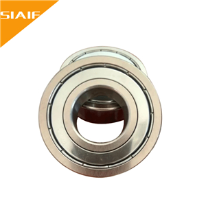 300度耐高温91看片免费版 DTSY6056ZZ